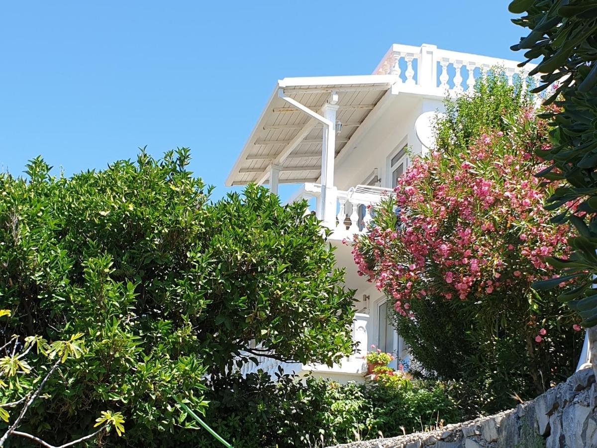 Vukmanovic Apartments Ulcinj Exterior photo